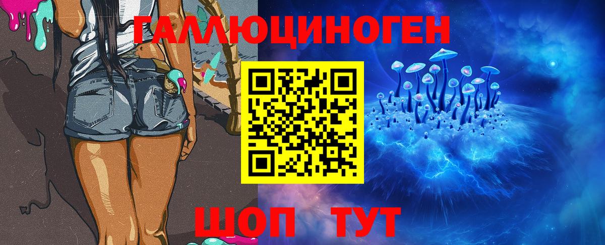 Псилоцибиновые грибы Psilocybine cubensis Кулебаки