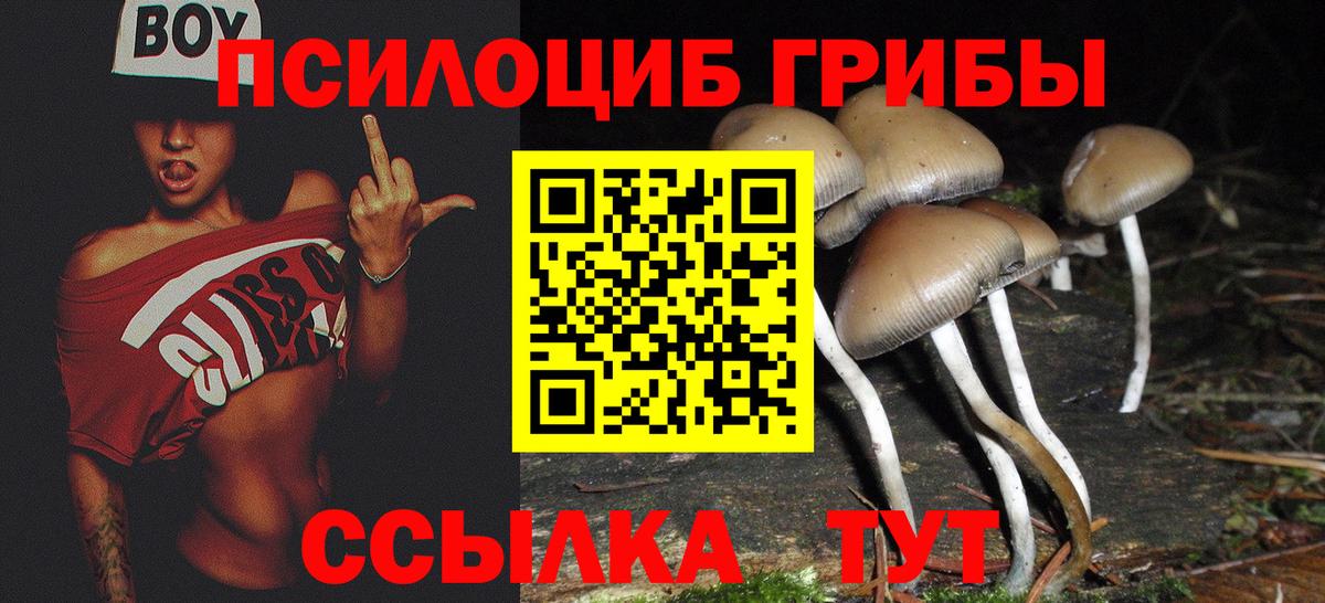 Псилоцибиновые грибы мицелий  Вход с VPN  Кулебаки  Галлюциногенные грибы мухоморы 